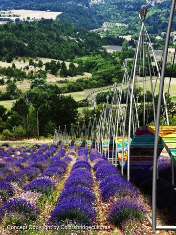 Kultur-Identität-Farbe (ColorsBridgeCultures) - Französisches Länder Modul