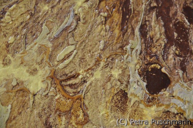 Work in Progress: L' éternité 2012