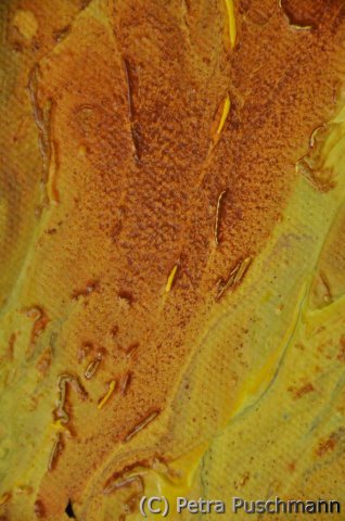 Work in Progress: L' éternité 2012