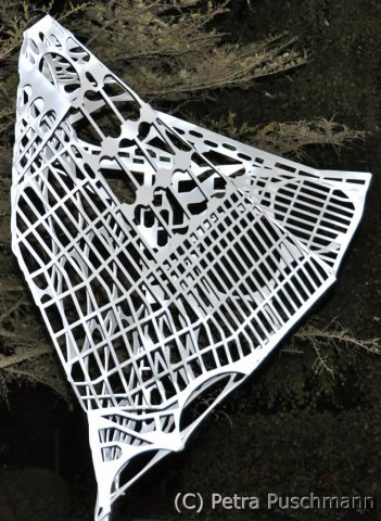 Project Surveillance - Ansicht: 6