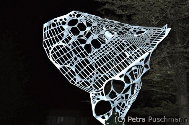 Project Surveillance